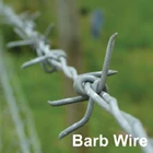 Barb Wire Forte (Kawat Berduri) (K) 1