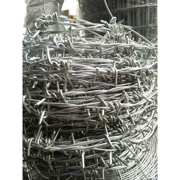 Barb Wire Forte lokal 60mtr