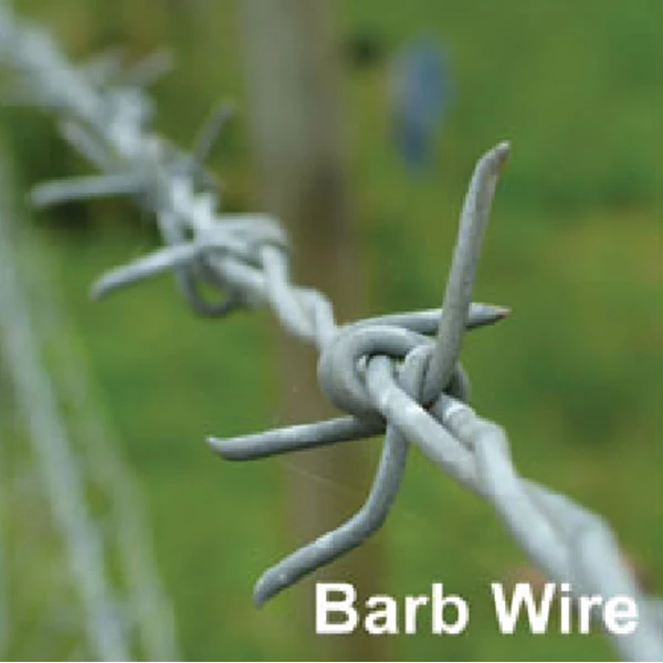 Barb Wire Forte (Kawat Berduri) (K)